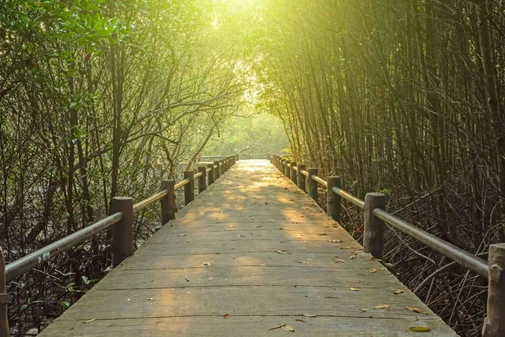 WHERE TO WALK IN PHUKET